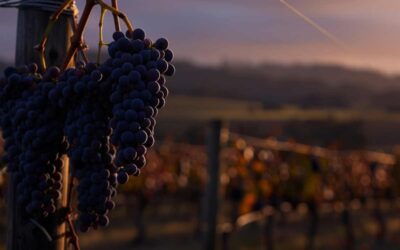 Qué hacer en Semana Santa en Vitoria, Bilbao y Donostia