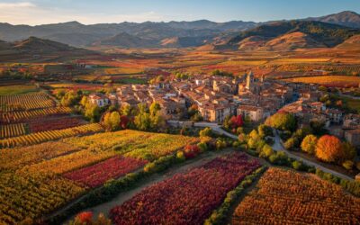 Ruta de enoturismo por la Rioja Alavesa desde Vitoria: bodegas, vino y paisaje